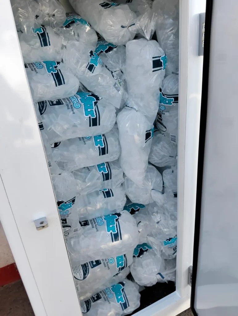 Polo sur Cedis santiago