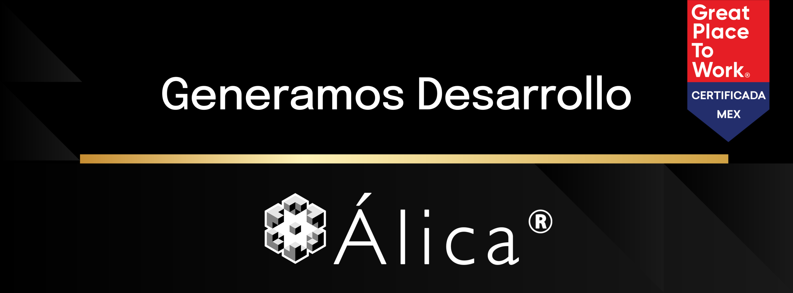 banner grupo alica