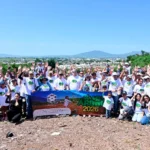 Reforestación Álica 2026