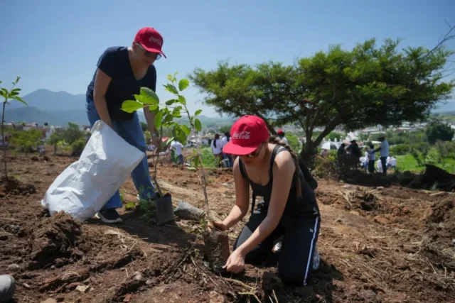 Reforestación Álica 2026 - Construyendo un Nayarit más verde_09